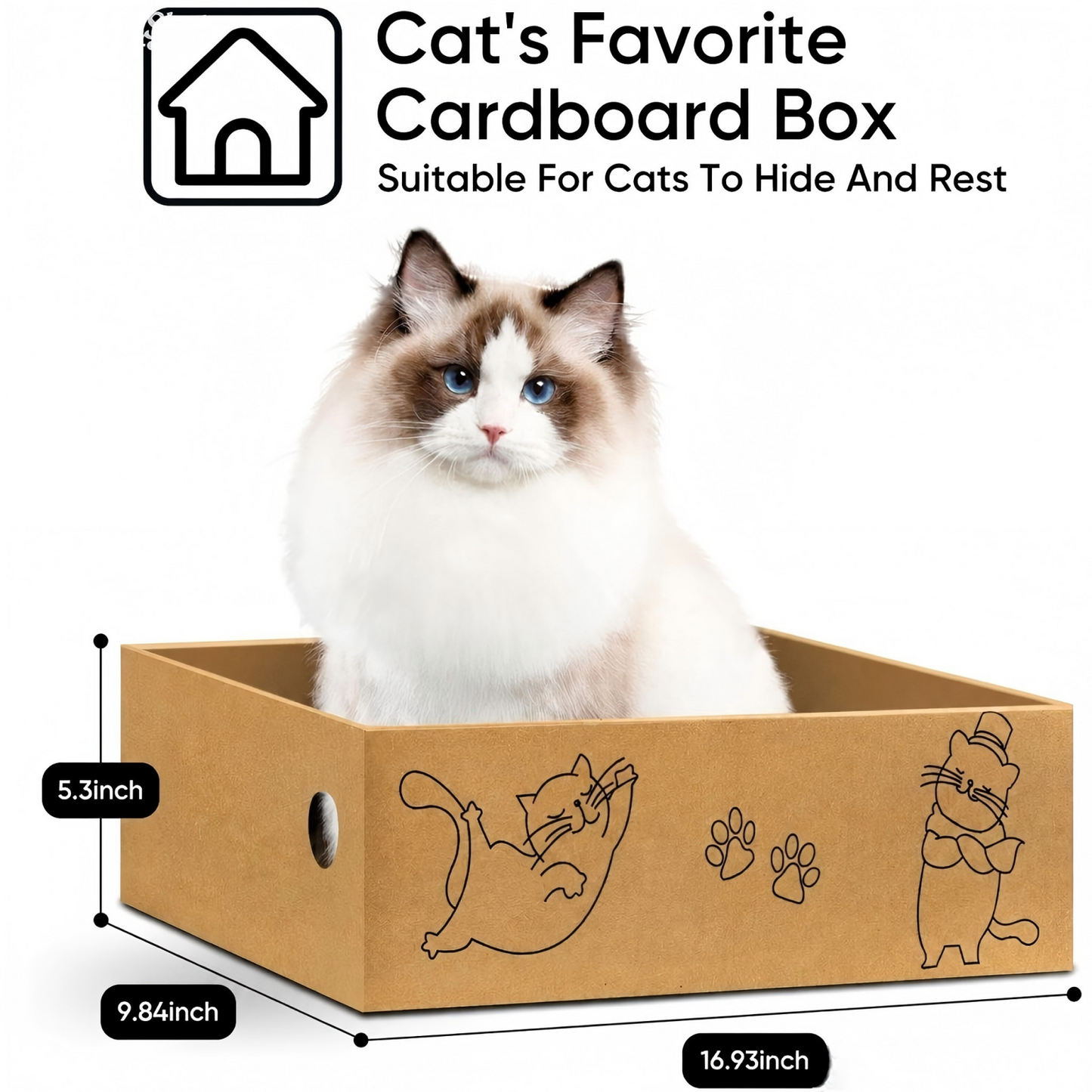 5Pack+1Box