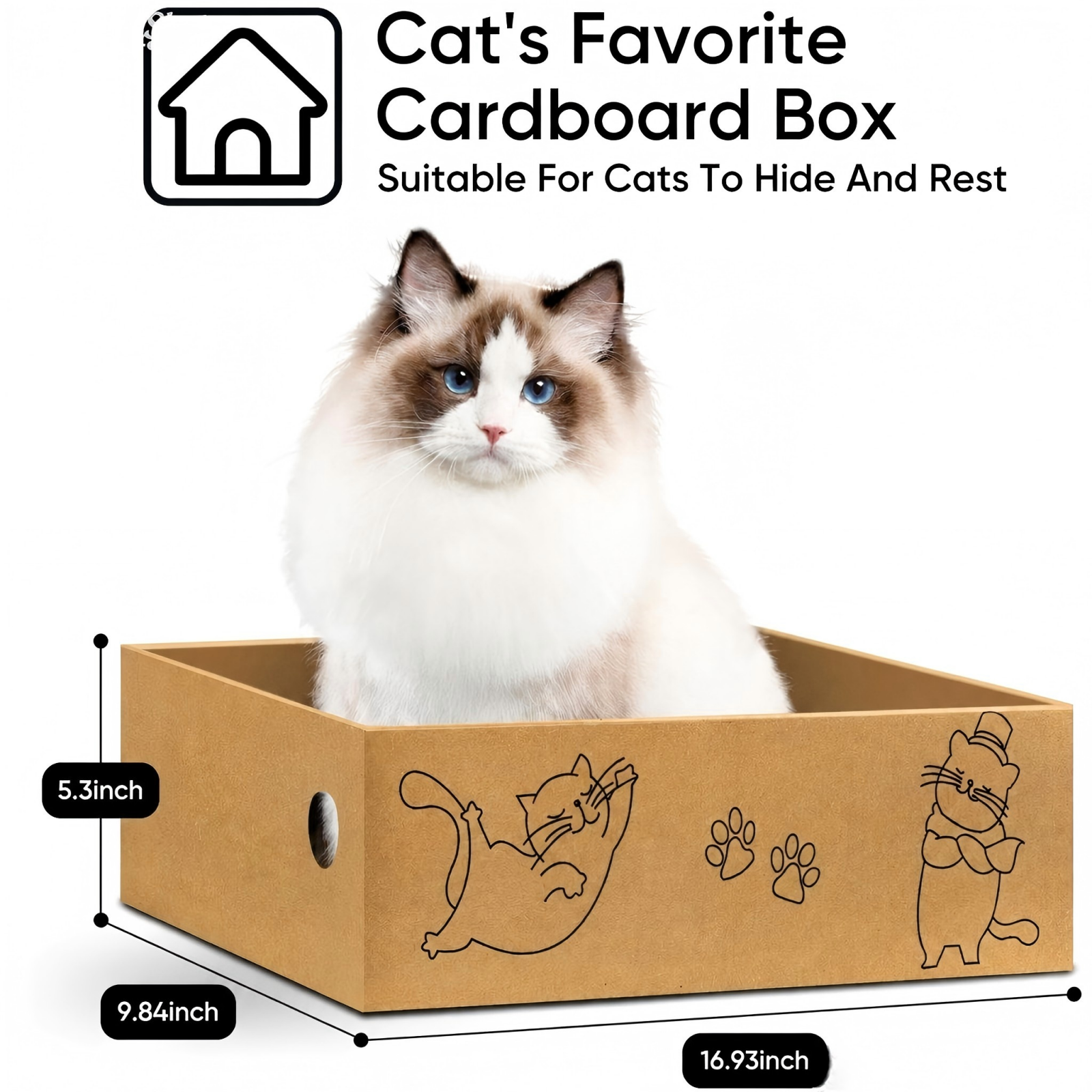5Pack+1Box